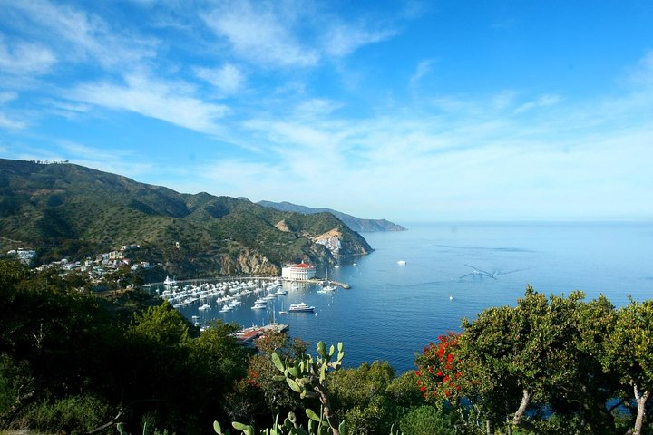 Catalina Island Day Trip from Anaheim or Los Angeles with Optional Upgrades